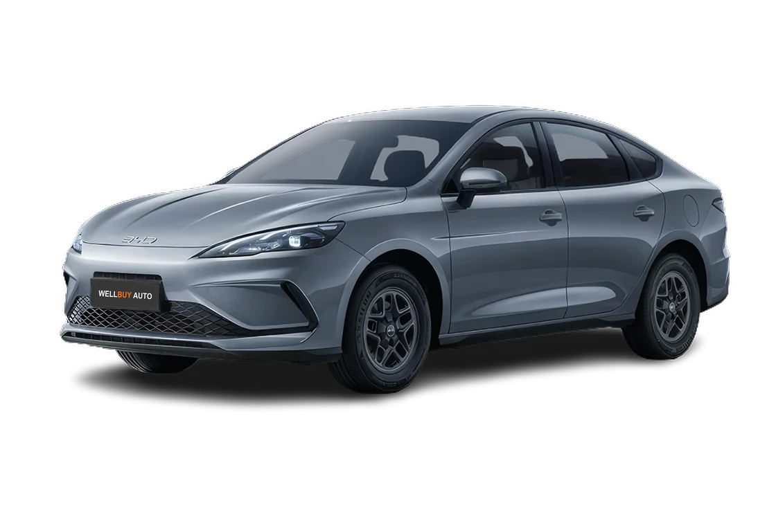 BYD (FCB) Leopard 5